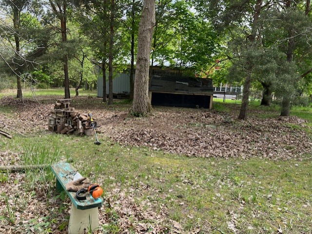 A clearing in a forest showing a log pile with a weedwhacker leaning up against it, and a bench with some orange headphones.